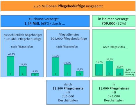 Destatis Übersicht Pflegebedürftige und Beschäftigte im Pflegebereich