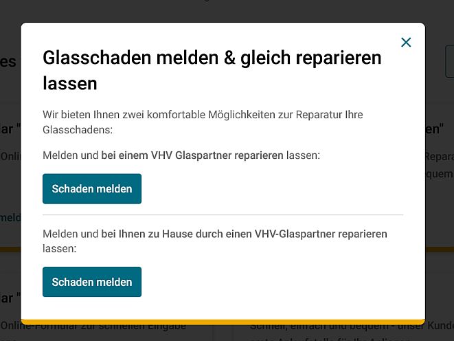 Wahloptionen im Onlineformular zur Meldung eines Glasschadens (Screenshot VHV-Webseite)