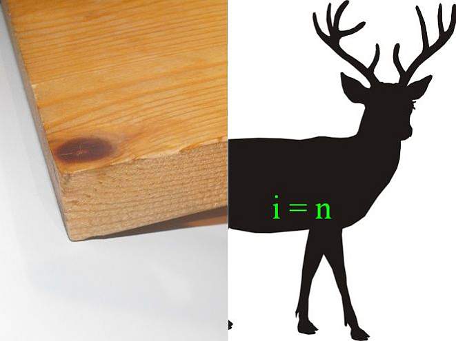 Was ist das? (Bild: Lier)