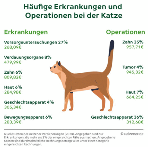 Behandlungskosten für Katzen (Bild: Uelzener)